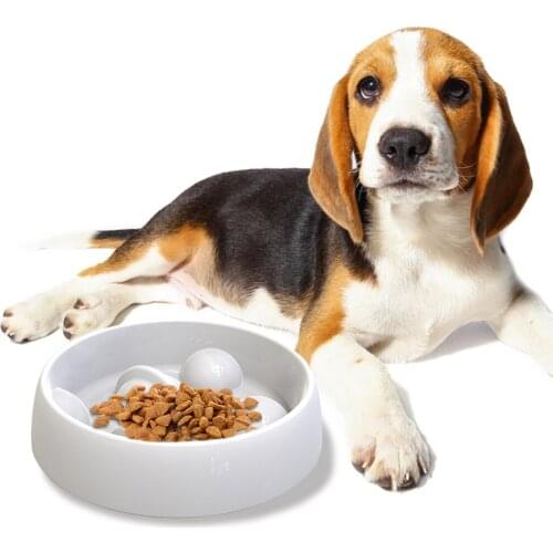 2021 New Pet Dog Bowl Slow Feeder Plastic Anti Choking Puppy Cat Eating Dish Bowl Anti-Gulping Food Plate