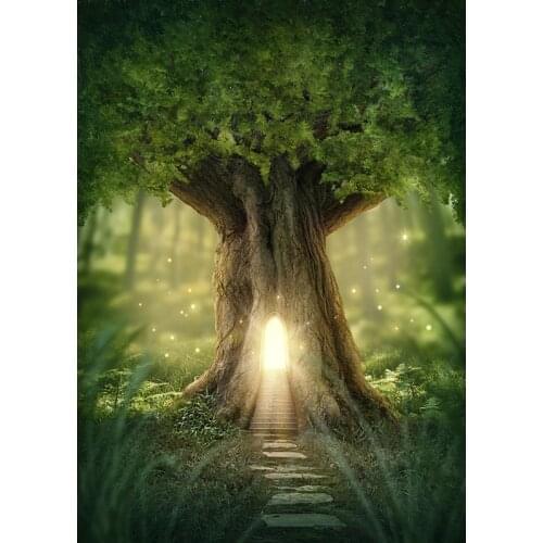 Vinyl Custom Photography Backdrops Prop Fairy tale Photography Background THS20721-04