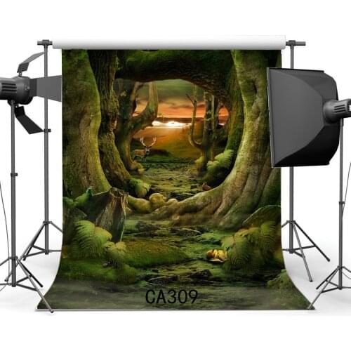 Fairytale Mysterious Forest Seamless Photo Backdrops Customized Studio Background