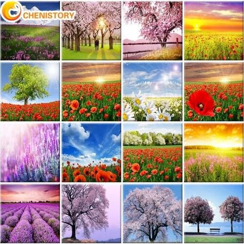 CHENISTORY Flower Acrylic Paint By Numbers Art Oil Painting For Adults Diy Kits Canvas Frame Picture Drawing Coloring By Numbers