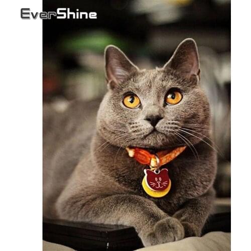 EverShine Diamond Mosaic Animals Bead Needlework Diamond Embroidery Cat Paintings Picture Of Rhinestones Home Decorations