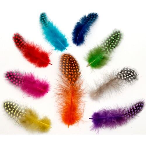 Hot Selling about 5-12cm Multi Colors Chicken pheasant feathers beautiful gull feather plume decoration accessories 50pcs