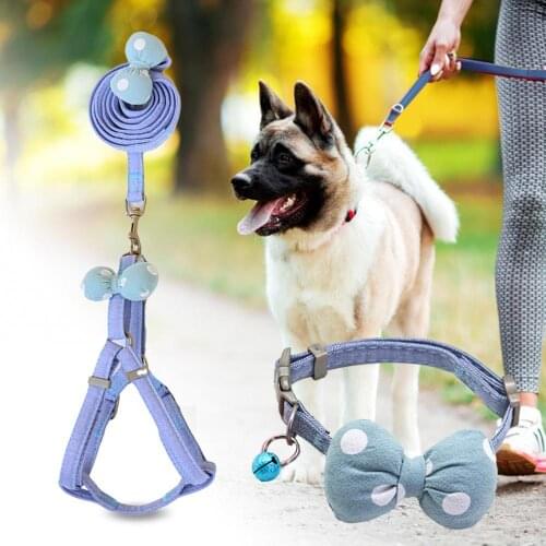 50% Hot Sales!!! Pet Puppy Dog Dot Bow-Knot Collar Harness Traction Running Leash Pulling Rope