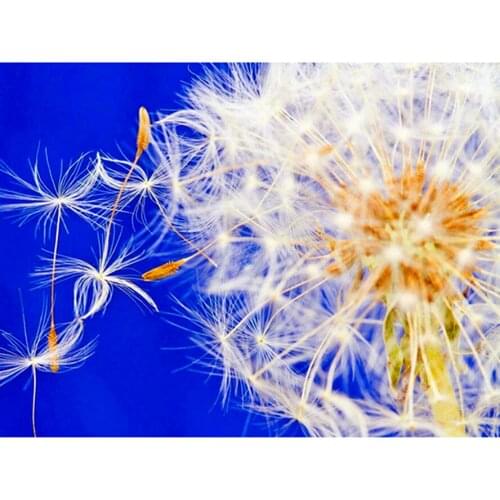 5D diy diamond painting cross stitch Rhinestone mosaic pattern Canvas Needlework full square Diamond embroidery Dandelion