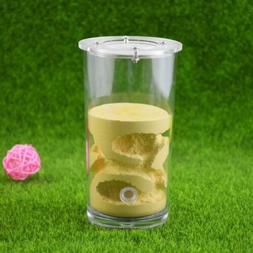Cylindrical Acrylic Ants Farm & Ants Nest Cup Gypsum Ants-house For Living Pet Ants