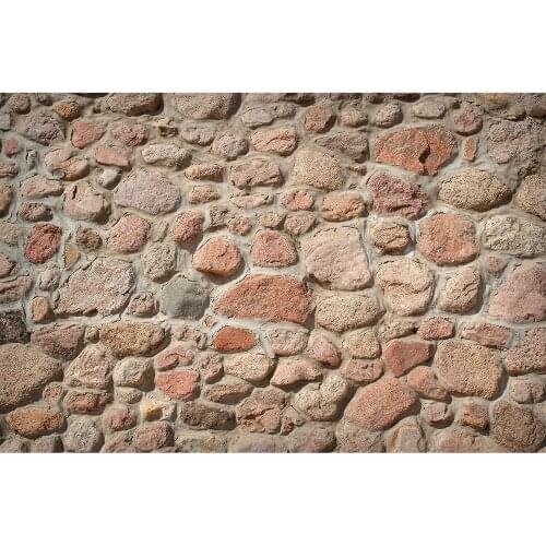 Irregular Stones Photo Backdrops Computer Printed Photography Background for Children Baby Portrait Pets Toy Photobooth Props