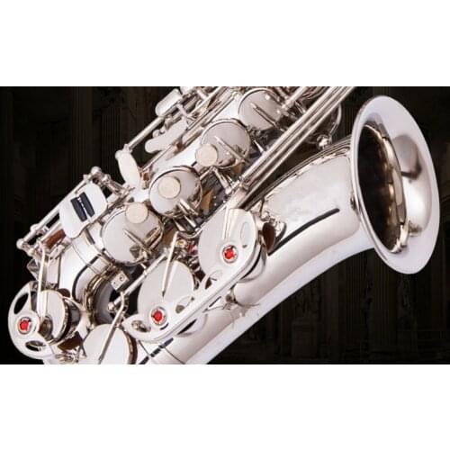 New Arrival Alto Eb Tune Saxophone Brass Nickel Silver Plated Sax E Flat Musical Instrument With Case Mouthpiece Free Shipping