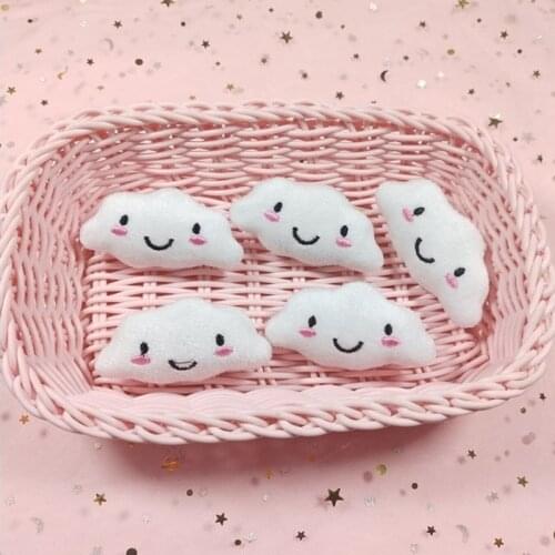 Catnip Cat toy Could Cat toy