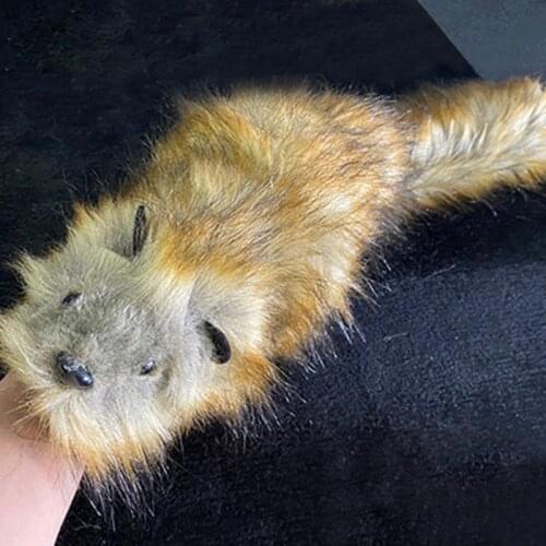 New Arrival Deluxe The Rocky Raccoon Robbie Magic Tricks Professional Magician Street Gimmick Easy To Do Spring Animal Toy