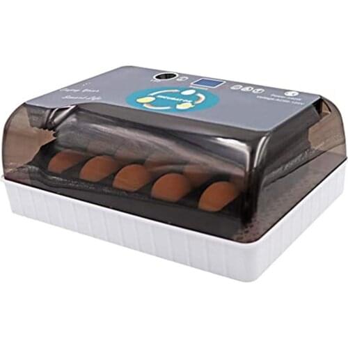 12 Eggs Incubator Time Control Convenient Fully Automatic Brooding Machine Thermostatic LED Lighting Hatcher Machine