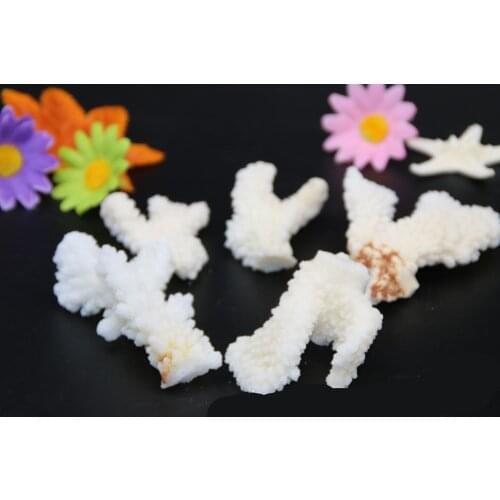 Beach Starfish Marine Maritime Style Home Seashell Bead for Jewelry Natural Coral Decoration Coastal Decor Mediterranean