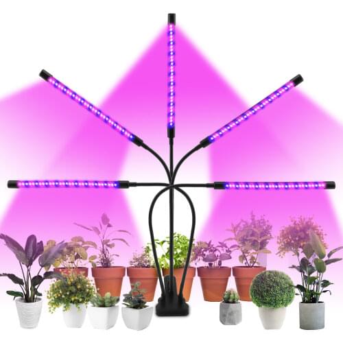 Leclstar Phytolamps For Plants