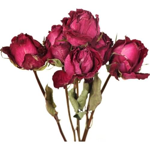 Dried Flowers Rose Romantic Bubble Small Fresh Dry Bouquet Ins Northern Europe Wind Home Furnishing Decorate