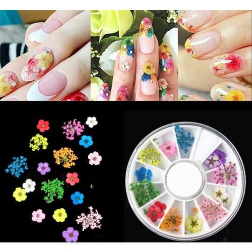 18pcs/Wheel 3D Dried Flower Nail Art Decoration Blossom Daisy Floral Leaf Slider Polish Sticker Summer Manicure Tools