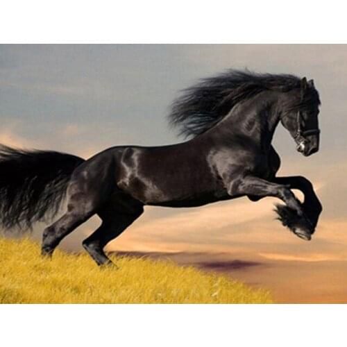 Horse style Embroidery Counted Cross Stitch Kits Needlework - Crafts 14 ct DMC Color DIY Arts Handmade Decor black horse