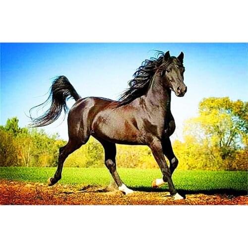 DIY Diamond Embroidery Sale Horse Full Square Painting Cross Stitch Kit Mosaic Home Wall Decor Handmade Creative Pictures