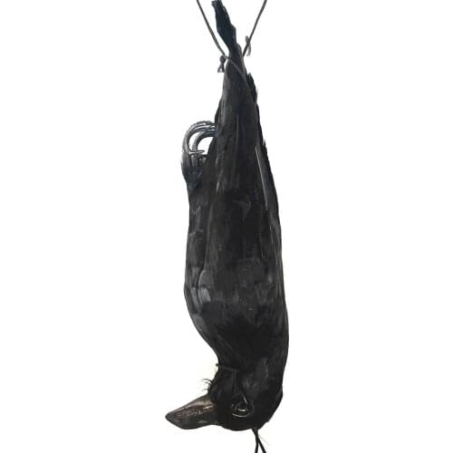 17 inch Realistic Dead Crows Decoy Lifesize Black Feathered Crow Combination with 160 feet Double Side Laser Tape