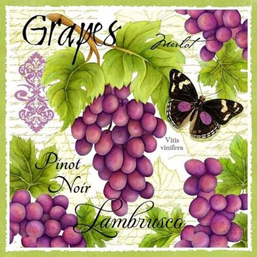 5D Diy diamond Painting Butterflies and grapes full square round drill Needlework embroidery Mosaic Cross Stitch