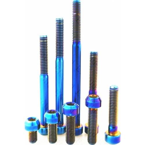 Titanium Bolt M6 10 20 25 30 40 50 60 70 80 90mm Ti Bolts T30 Torx Bike Refit Column Head Plum Head Riding Motor DIY Screw