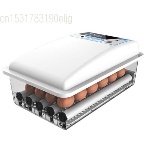 Chicken Incubator Fully Automatic Intelligent Small Incubator Incubator Egg Incubator Box Chicken Duck Goose Household Type
