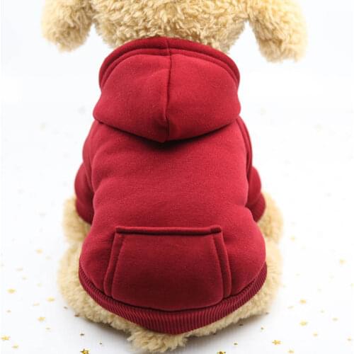 Pet Clothes Dog Spring Sweater Hooded Hooded Fleece Material Two Feet Clothes Fashion Sports Simple Wind Pet Clothes Dog Cat Clo