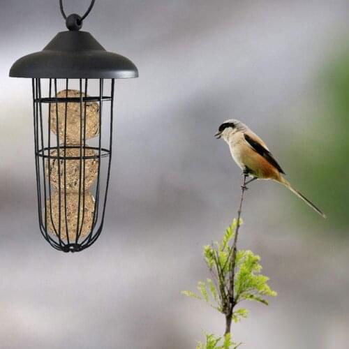 Outdoor Bird Feeder Hanging Fat Ball Holder Metal Bird Feeder Bird Food Dispenser Suitable Occasions Outdoor Iron Bird Feeder