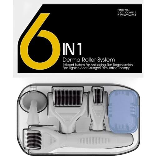 6 in 1 Microneedle Derma Roller Kit for Face and Body 300/720/1200 Titanium Dermaroller Micro Needle Facial Roller Skin Care