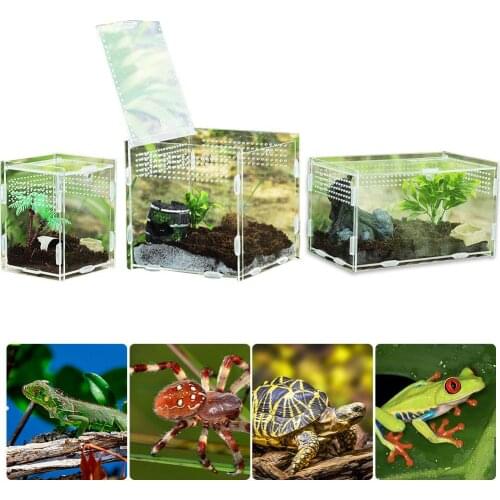 Multiple Vents Reptile Breeding Box Acrylic Transparent Reptile Tank Insect Spiders Scorpions Mantis Feeding Box Terrarium Tank