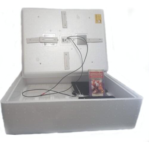 ЗЭБТ Goods For Pets