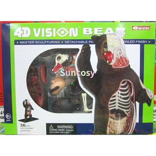4D Vision Bear Anatomy Model, Black Bear Organ Anatomy Model ,Medical Teaching Tools, Anatomical Teaching ,DIY Puzzle
