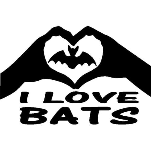 16 Cm * 10 Cm Personalized Design I Love The Bat Exquisite Car Sticker Pvc Fashion Waterproof Auto Decorate Applique Pattern