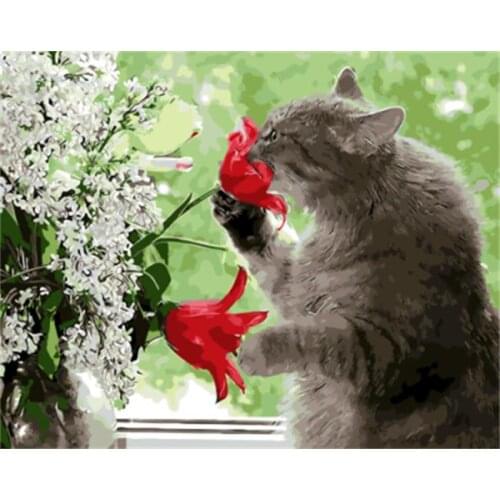 DRAWJOY Framed Picture Painting & Calligraphy Of Loely Animals Cat DIY Painting By Numbers Coloring By Numbers Home Decor