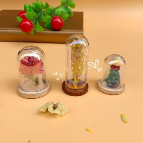 30x20mm 38x25mm 50x20mm Rainbow tube glass globe bottle wood base glass vial cover dome glass bottle cute Display accessories