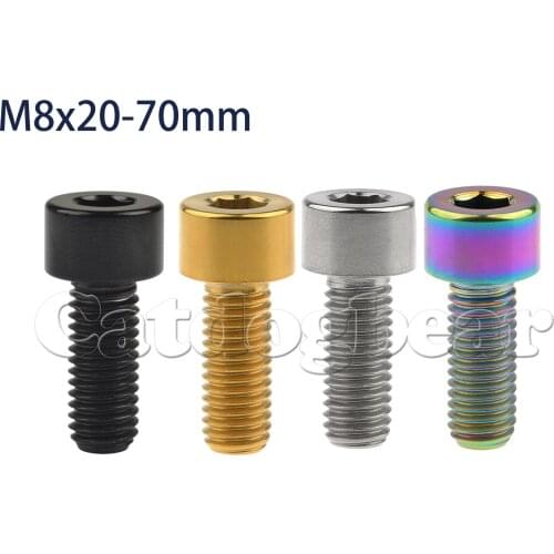 Catdogbear 4/6Pcs Titanium Bolt M8x20mm Allen Key Head Screws for Bicycle Motorcycle Car