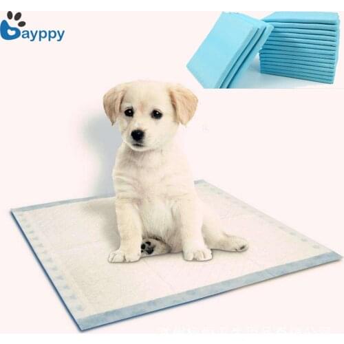 Bayppy Briefs For Dogs