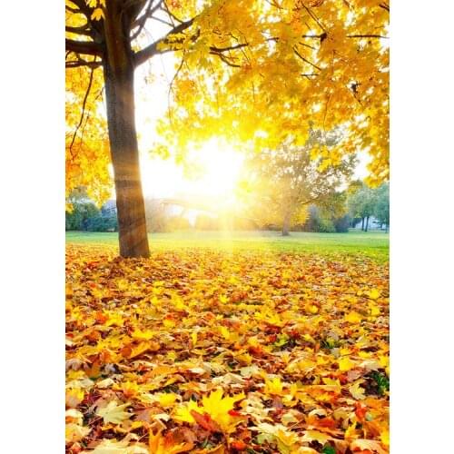 Mehofoto Photographic Background Autumn Fall Leaves Golden Sunshine Tree Backdrop for Photo Studio 5x7FT Vinyl Photo Backdrop