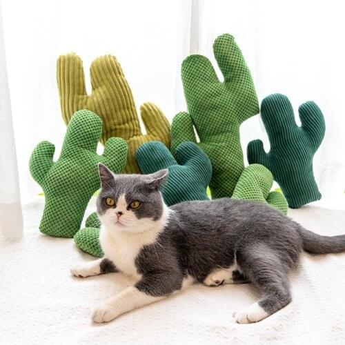 Catnip Cat Toy Cactus Plush Chew for Cats Toys Teeth Grinding Chewing Durable Tug Fetch Bite Toys for Small Medium Large Cat Dog