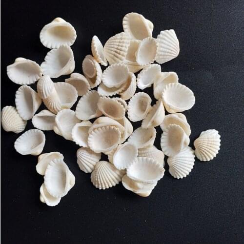 HappyKiss 01-2cm 50pcs/lot Natural conch shells mini conch corn screw wall decoration DIY aquarium landscape white seashells