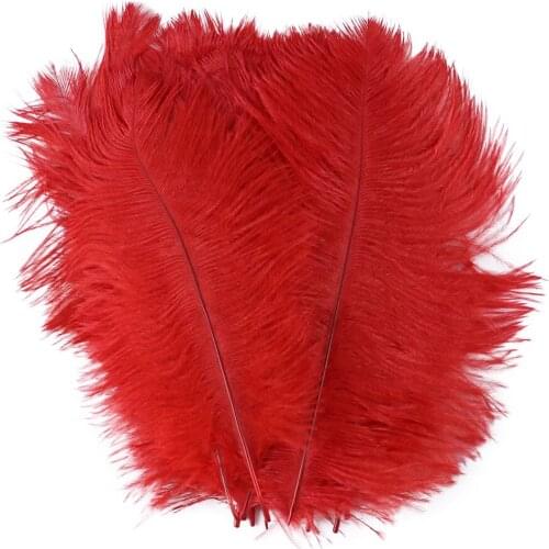 100 PCS/Lot Fancy Natural Ostrich Feathers 15-20 CM Headdress Dream Catcher Craft Home Vase Decoration Plumes
