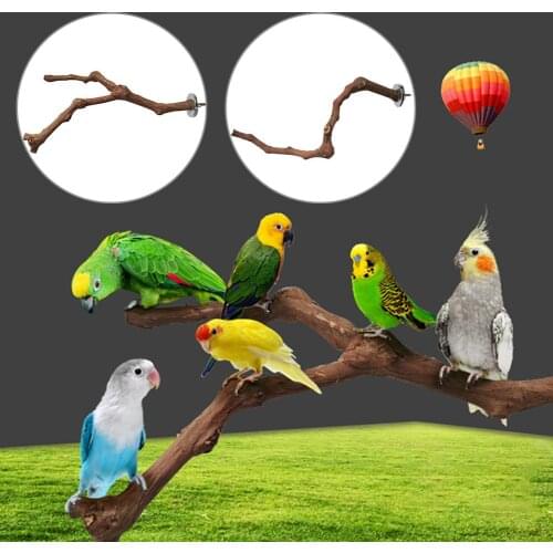 Pet Parrot Bird Standing Stick Wild Grape Wood Pole Bird Cockatiel Parakeet Perches Bite Claw Grinding Toy Bird Cage Accessories