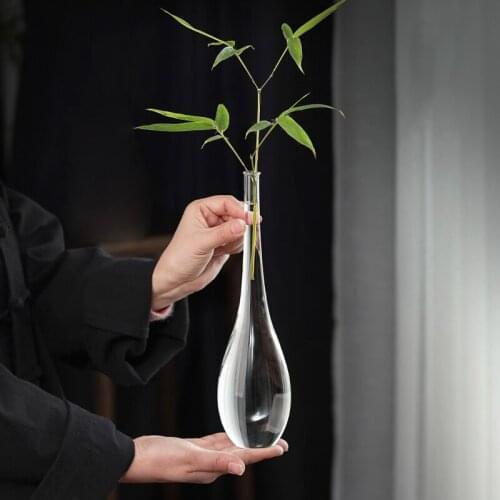 Flower Vase Japanese Transparent Glass Vase Home Decoration Hydroponics Plant Beauty Bottle Office Desk Flower Vases Crafts Gift