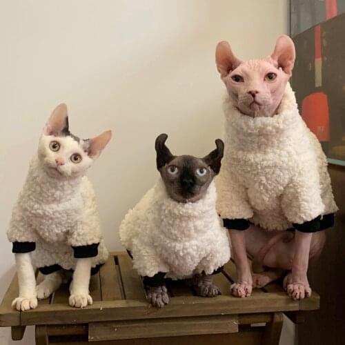 Hairless Cat clothes Pet Clothing Autumn Winter Soft Elastic Warm Kitten Clothing Devon Sphinx Short Feet Cat