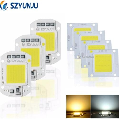 10W 20W 30W 50W 100W LED COB Lamp Chip High Power LED Diode Matrix Array 30V 110V 220V LED Spotlight Bulb Floodlight Lampada