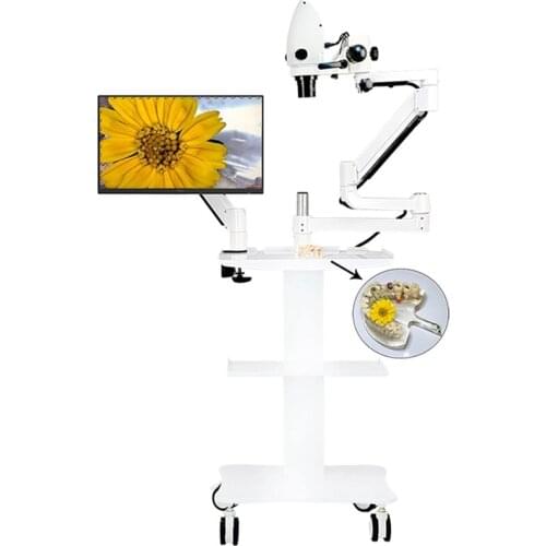 1920*1080P Dental Operating Microscope 33X Video Stereo Zoom Microscope Trinocular with Camera LED for Dentist