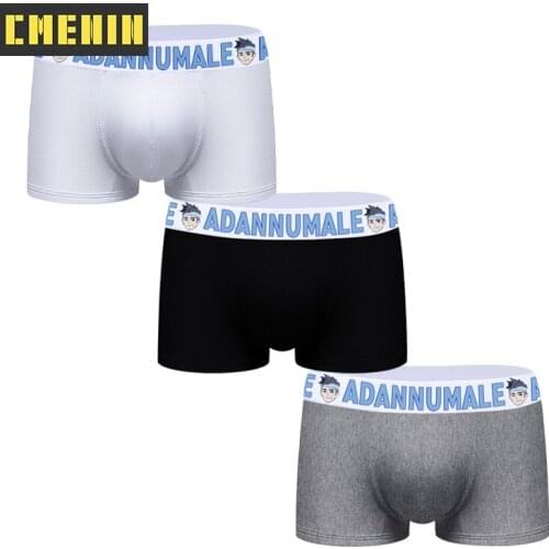 3PCS Free Shipping Cotton Sexy Boxer Mans Underwear men Quick Dry Mens Underpants Boxershorts Men Underware Top AD7104