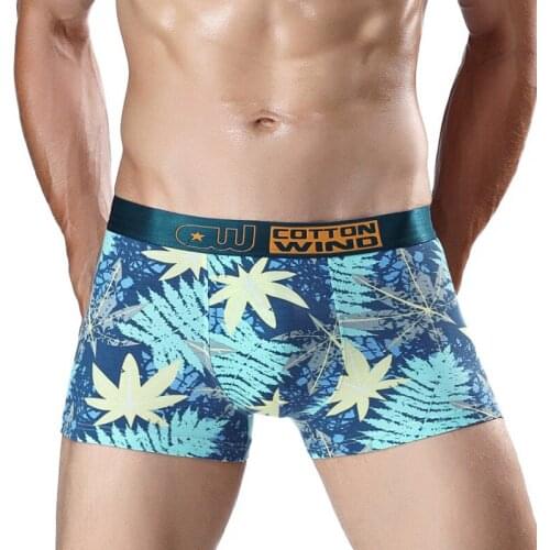 DBCSKE Men's Briefs With Print