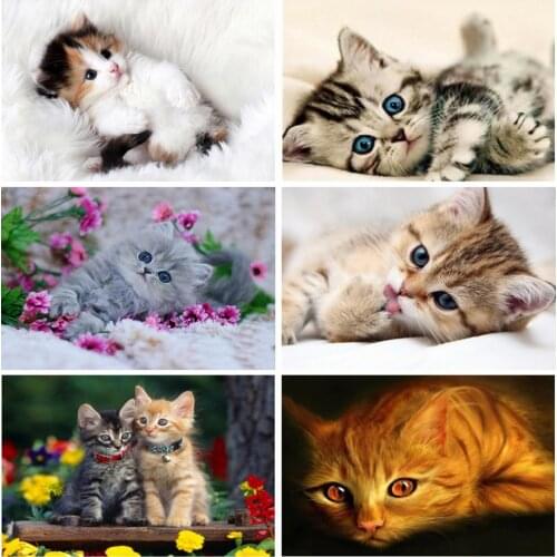 Diamond Painting Square/Round Cat Cross Stitch Diamond Embroidery Animals Sale Rhinestones Art Gift Bead Picture Kits Wall Decor