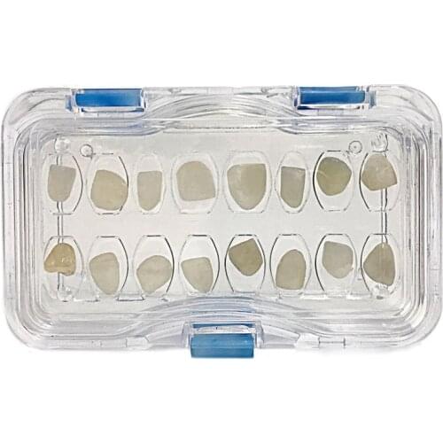 15pcs Hinix 10x6x2.3cm HN-106V Transparent Denture Veneer Storage Membrane Box with Hole