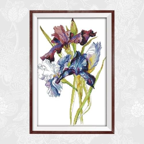 Iris Paintings Cross Stitch Kits 11CT Printed Fabric 14CT Canvas DMC Counted Chinese Embroidery Needlework Home Decor