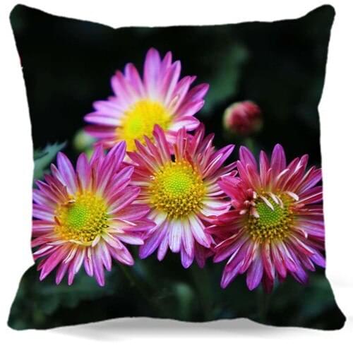 Black Square Pillow Case 5 size 9 style Top Quality pink yellow Chrysanthemum Decorative Family For Gift Home Hotel Office car